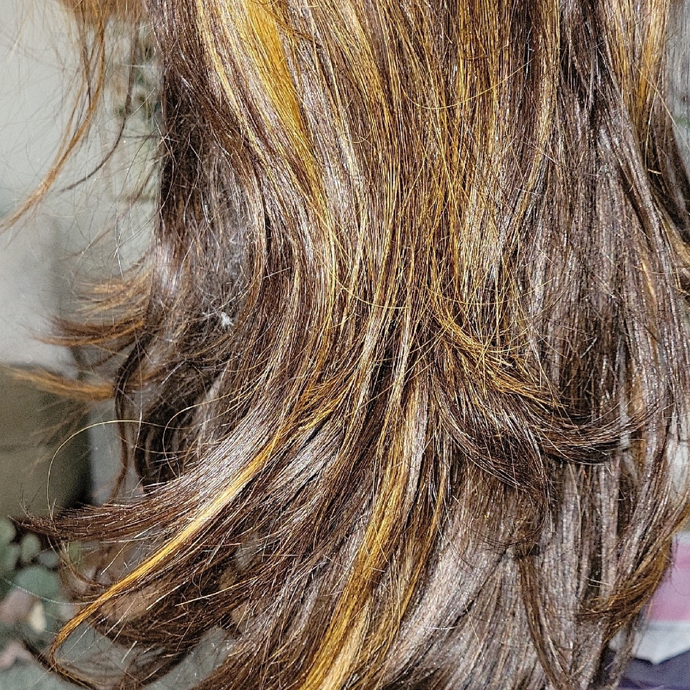 IDEFINE Brazilian Brown Hair Wig - Picture 6 of 13